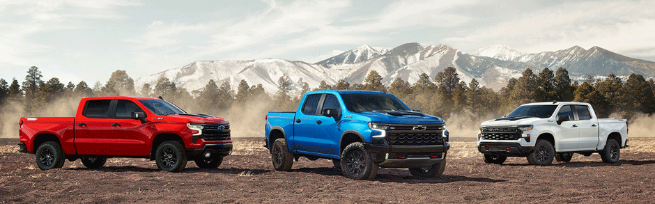 2023 Chevrolet Silverado 1500 Exterior