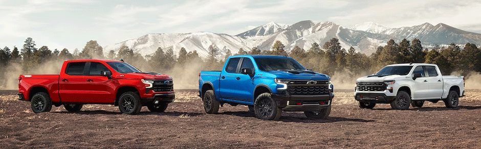 2024 Chevrolet Silverado 1500 Exterior